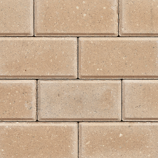 1820-4x8Brick-Coral